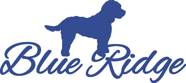 Blueridge logo