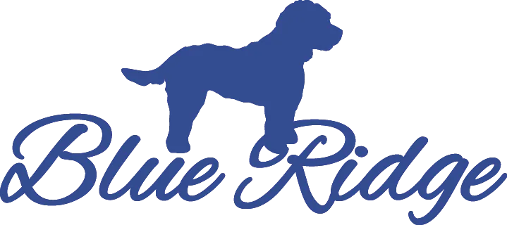 Blueridge logo